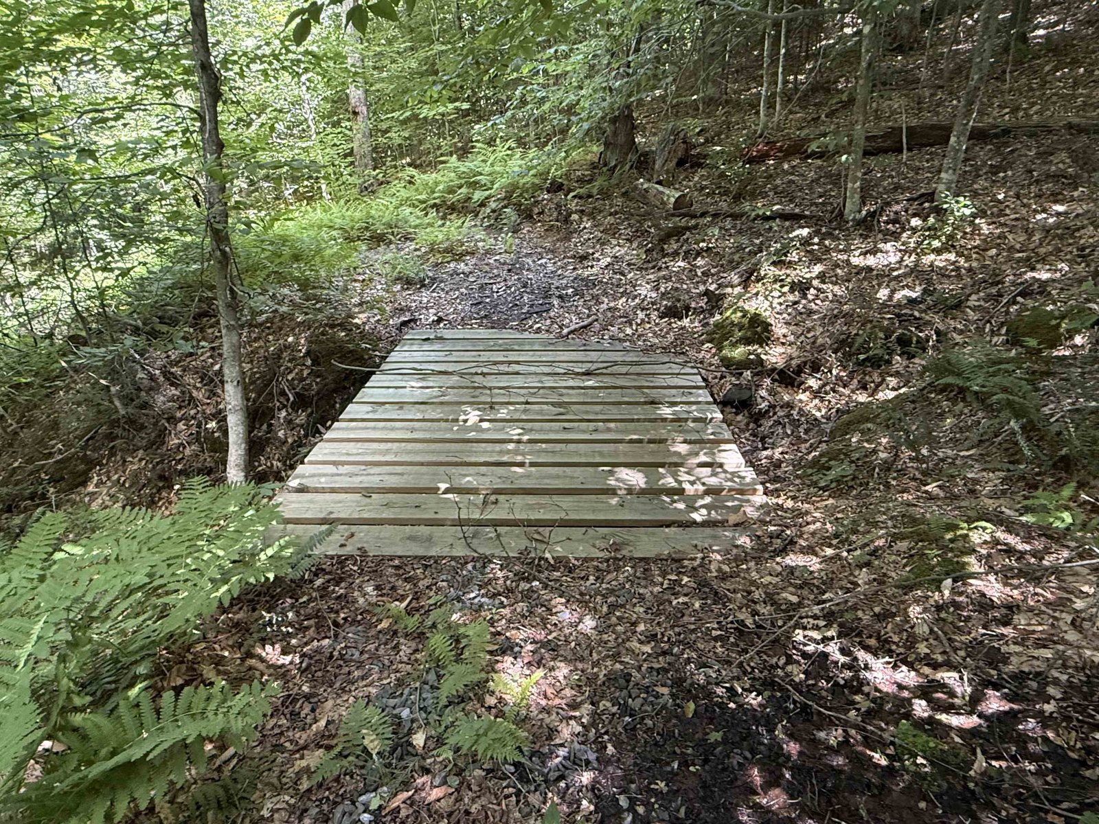392 Sicard Road