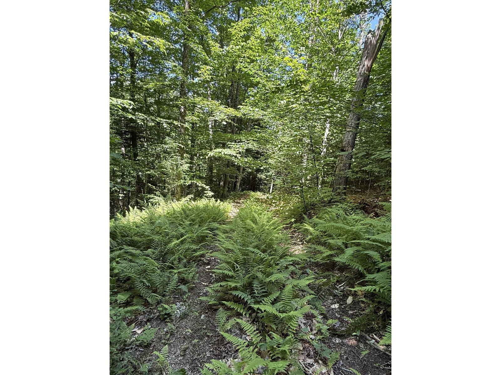 392 Sicard Road