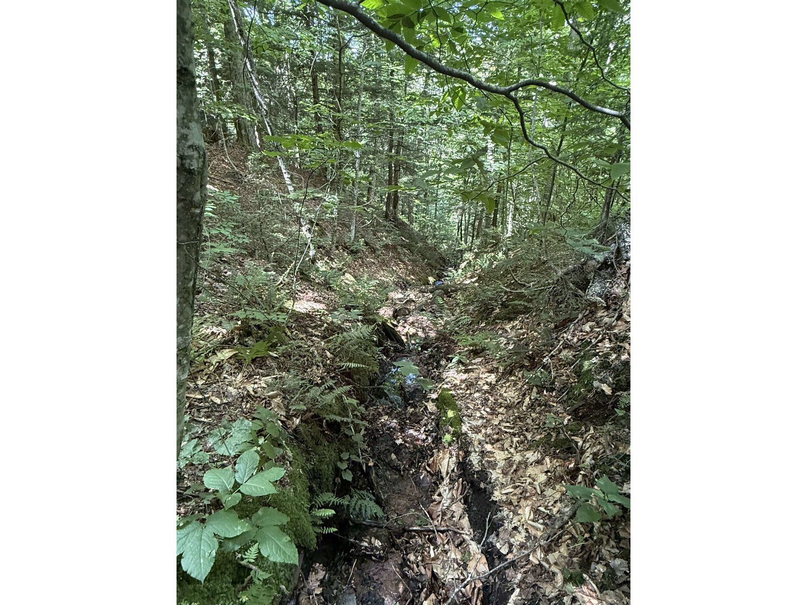 392 Sicard Road