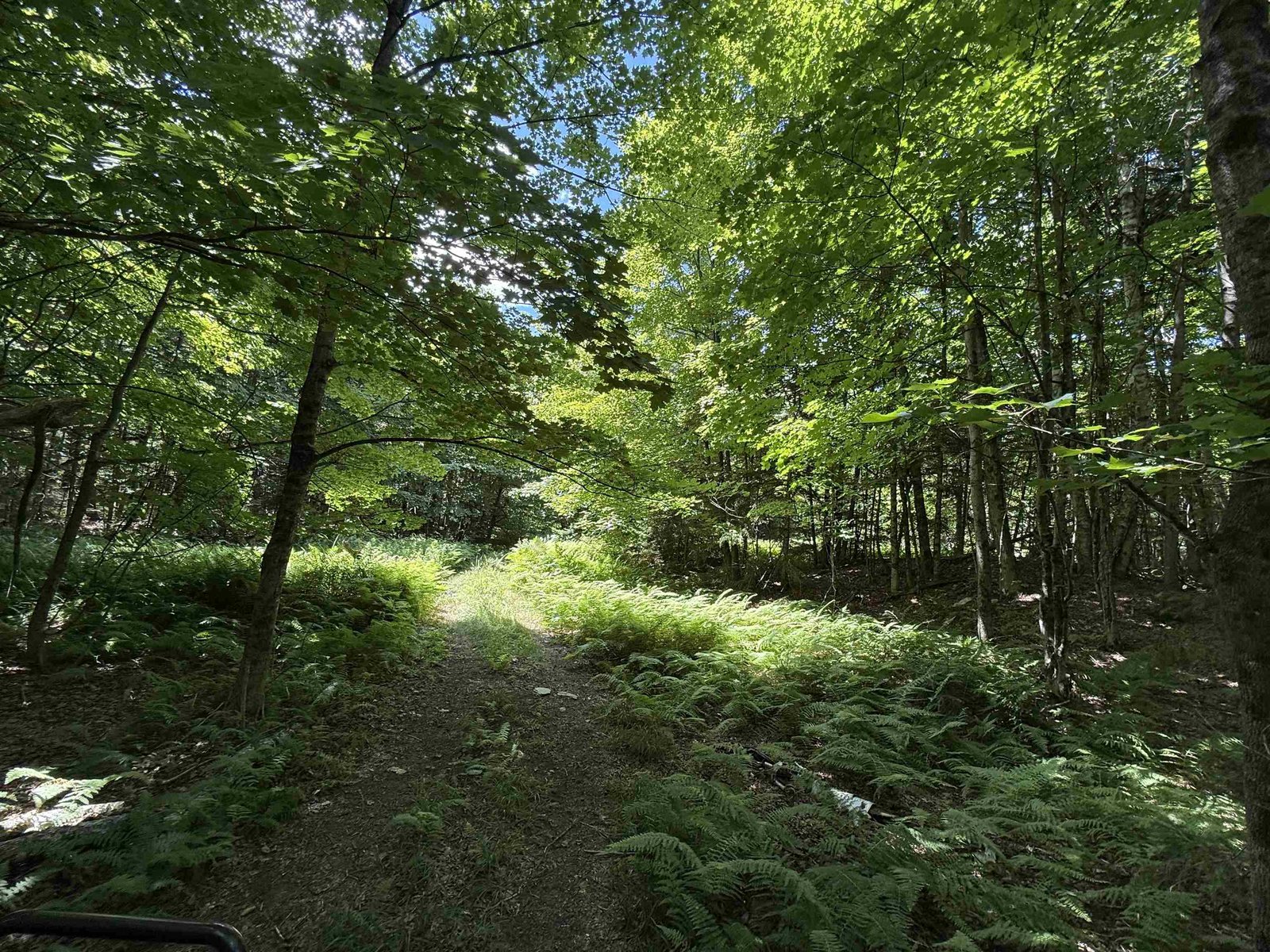 392 Sicard Road
