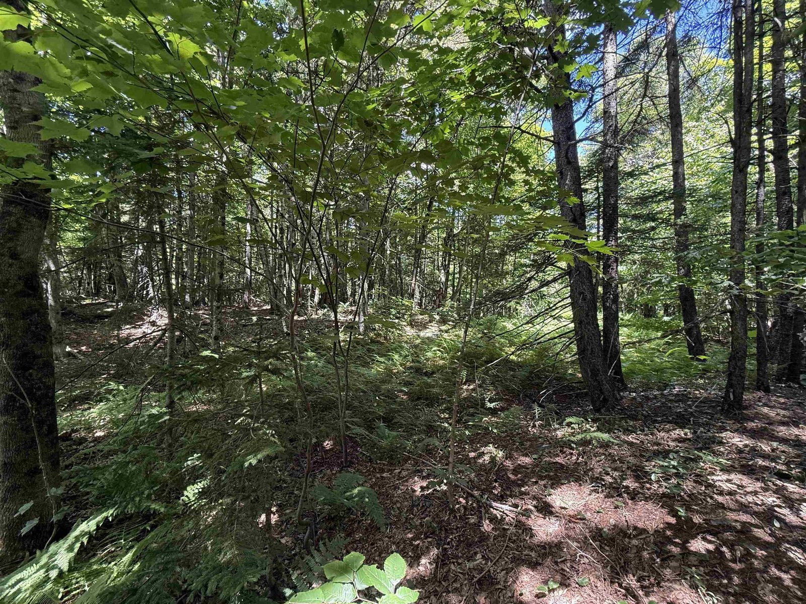 392 Sicard Road