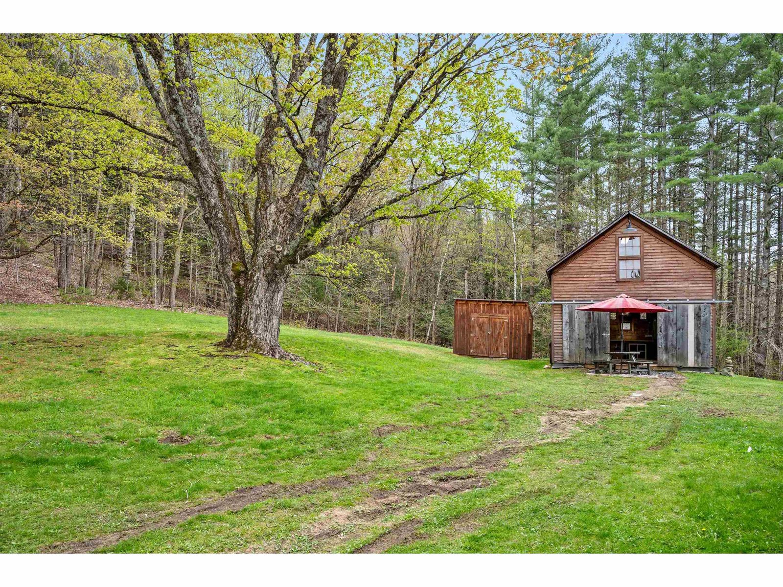 Old Maple, Barn & shed
