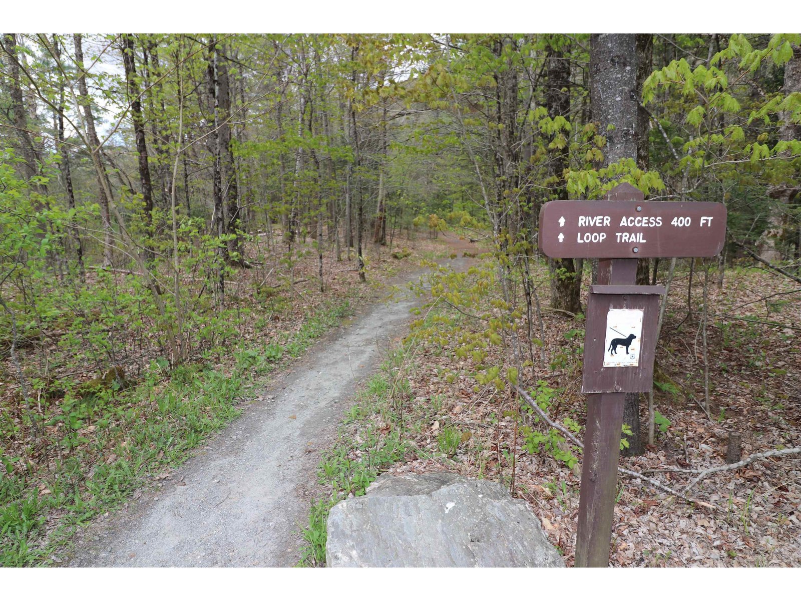 Warren Falls trails