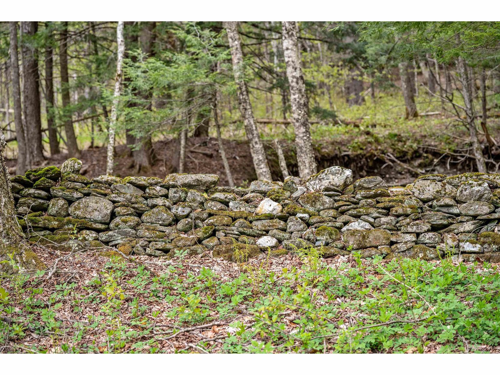 Old stone wall