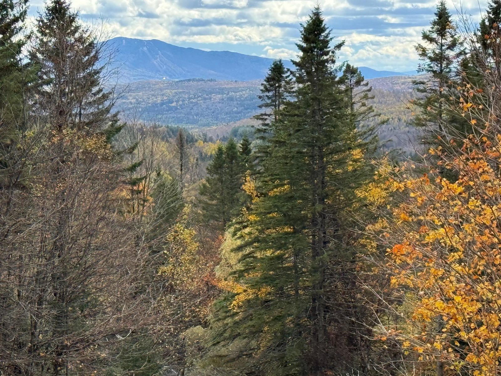 397 Mountain View Road