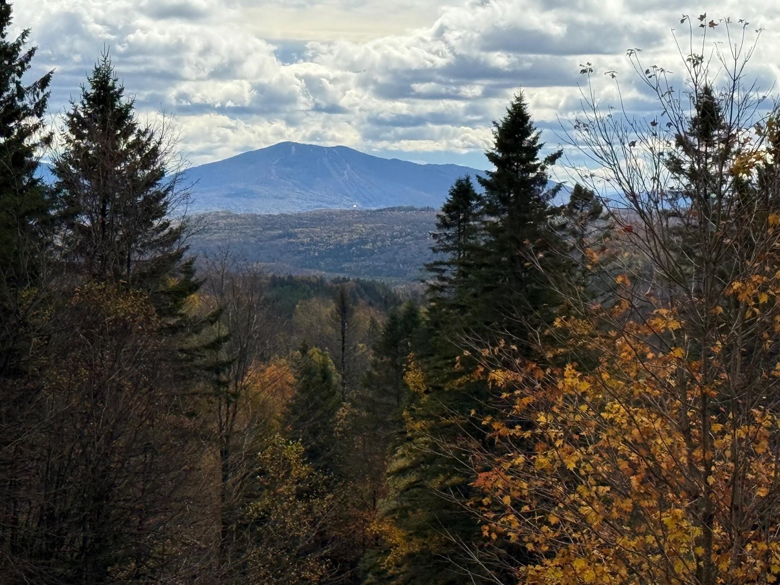 397 Mountain View Road
