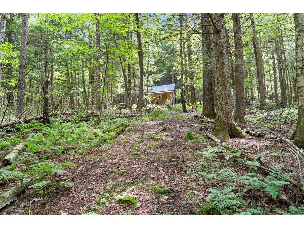 3992 Main Road