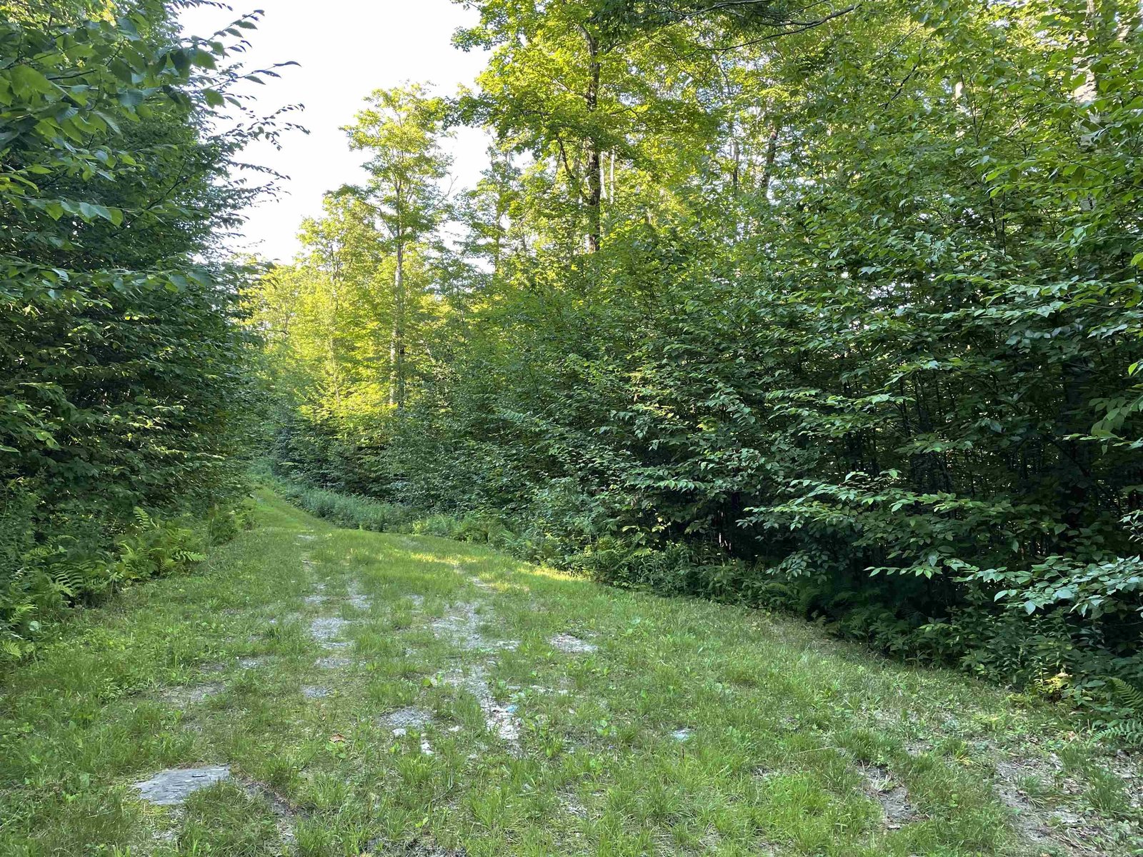 3H Westover Road