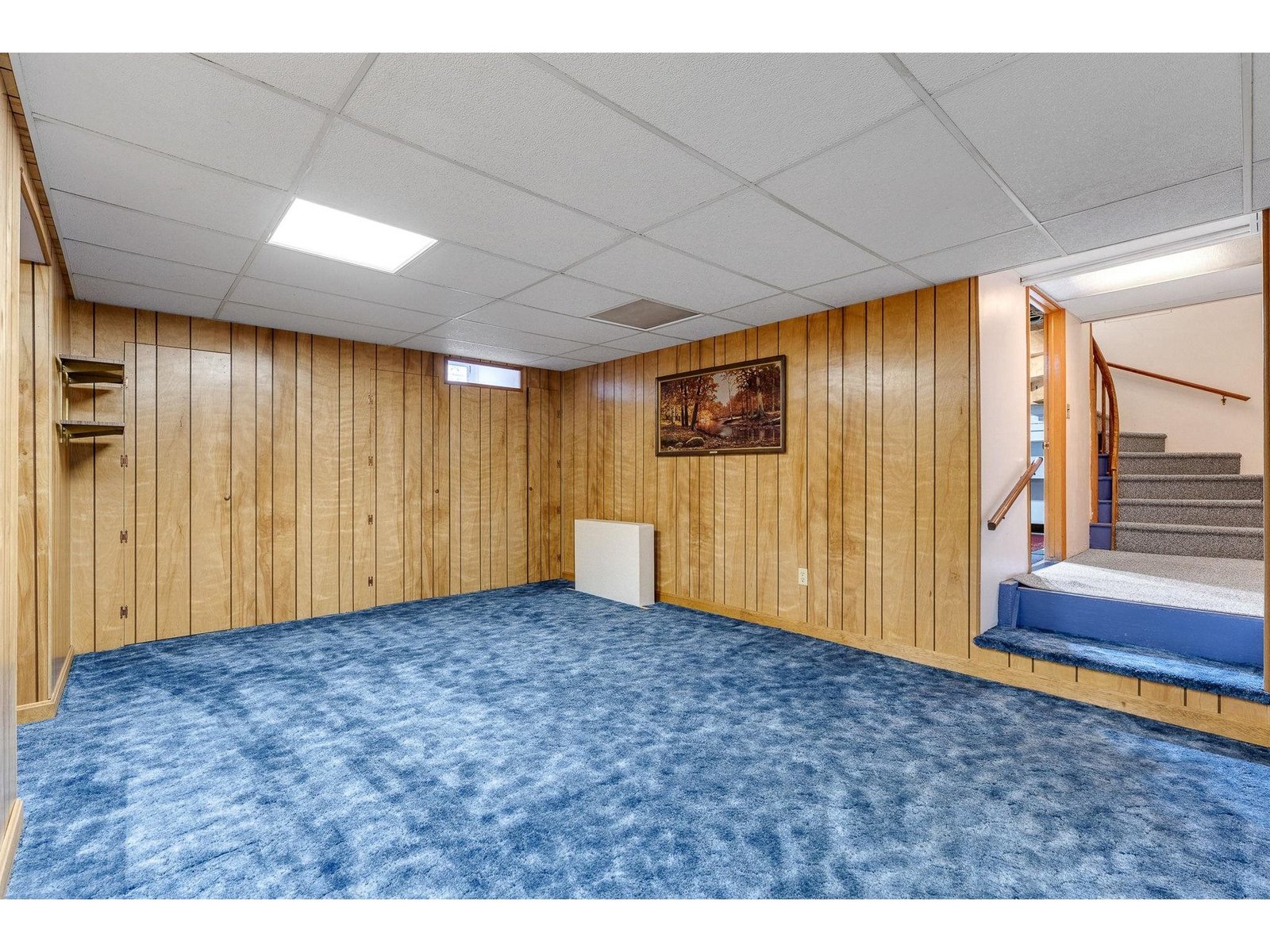 Basement