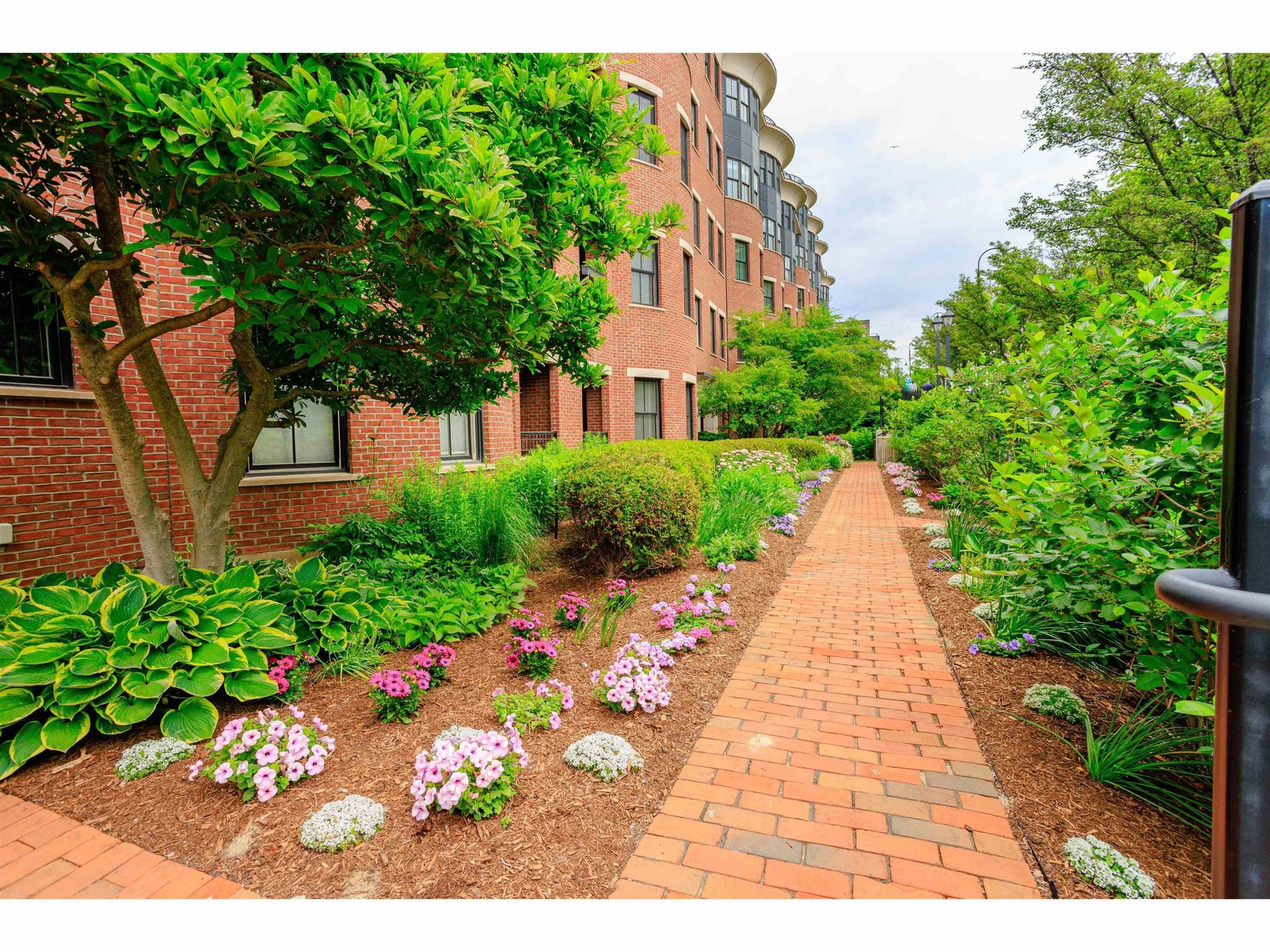 40 College Street, Unit 204C