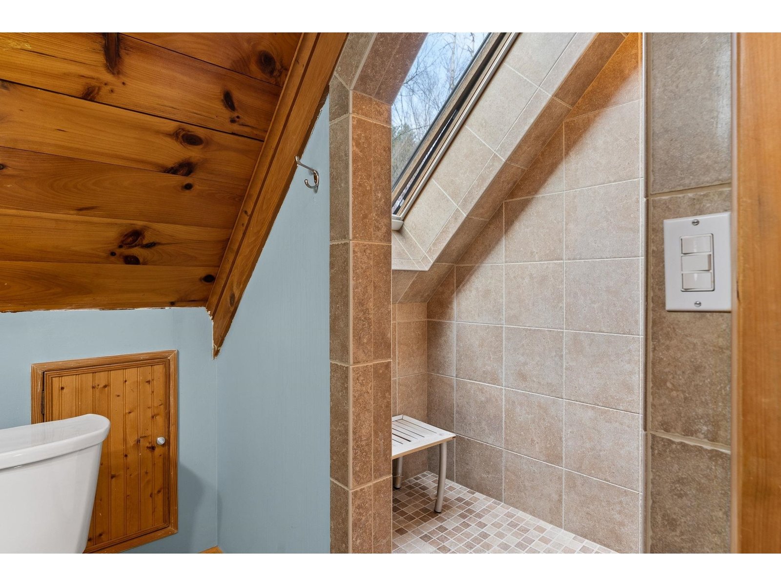 Walk-in shower with skylight