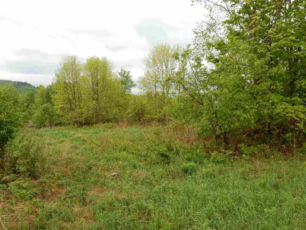 400 Willoughby Lake