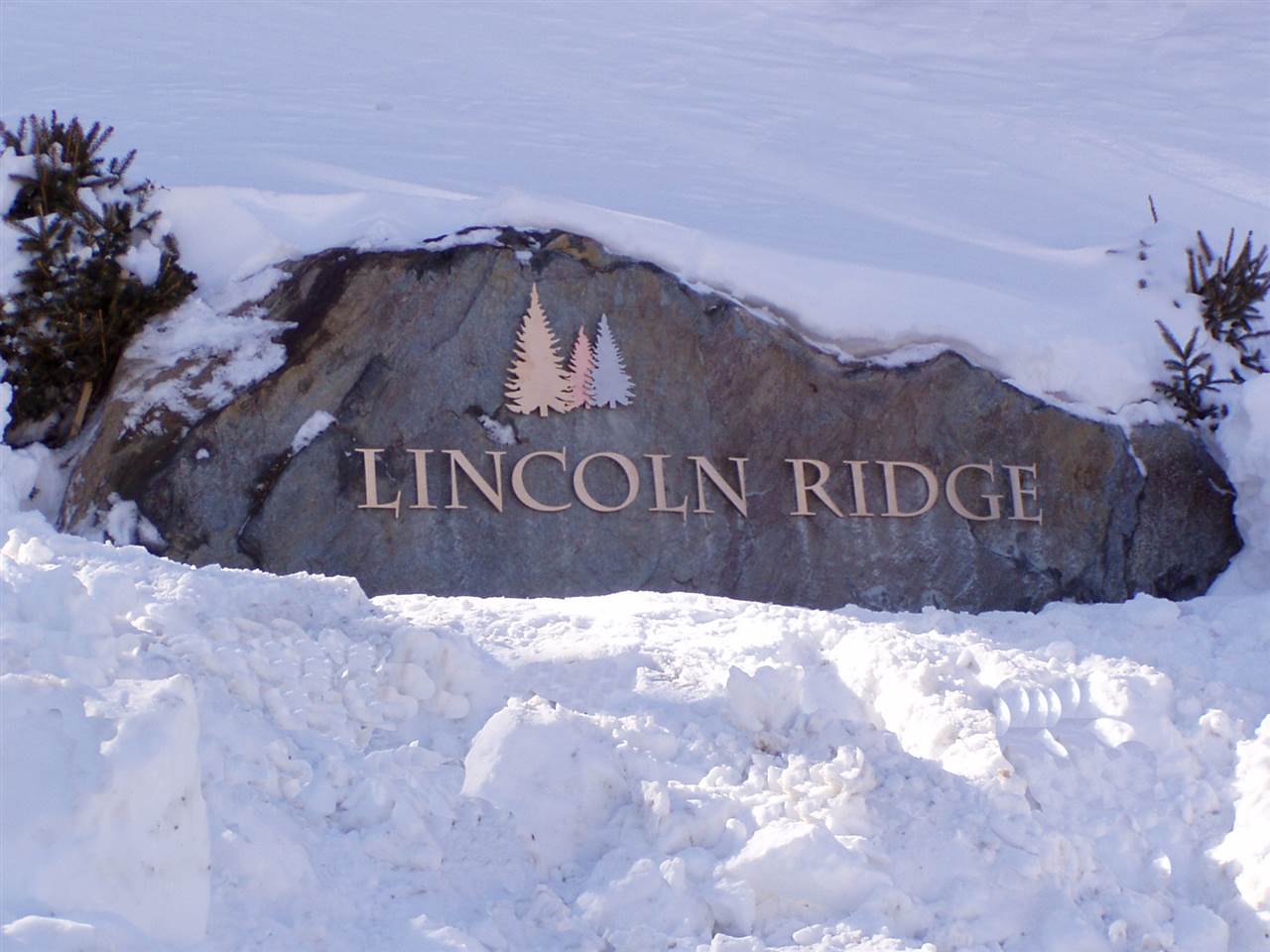 405 Lincoln Ridge Road