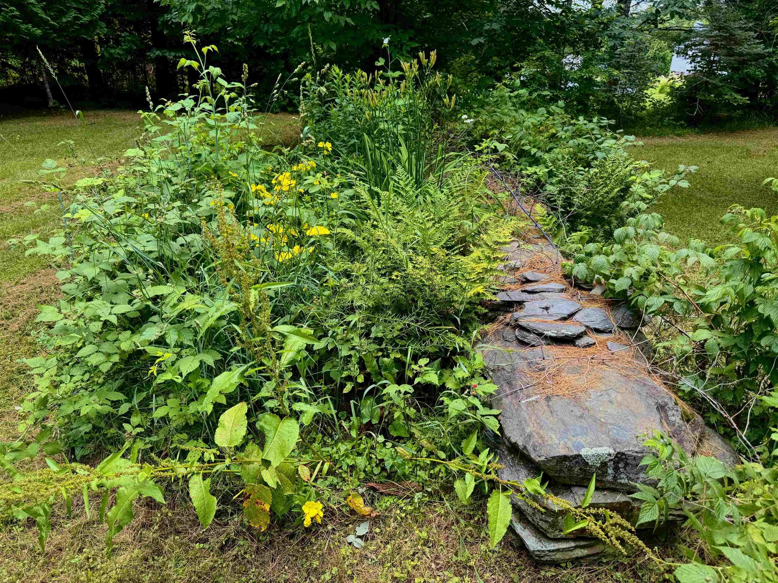 Stone walls and perennials