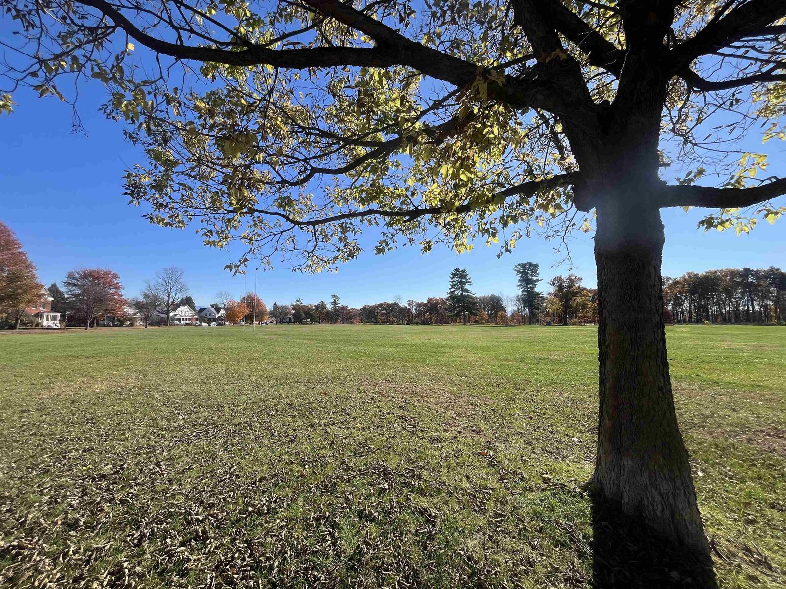 408 C Dalton Drive, Unit Unit C