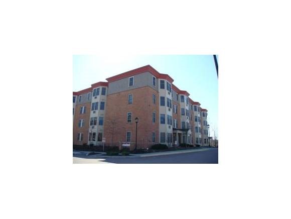 409 Farrell Street, Unit 109