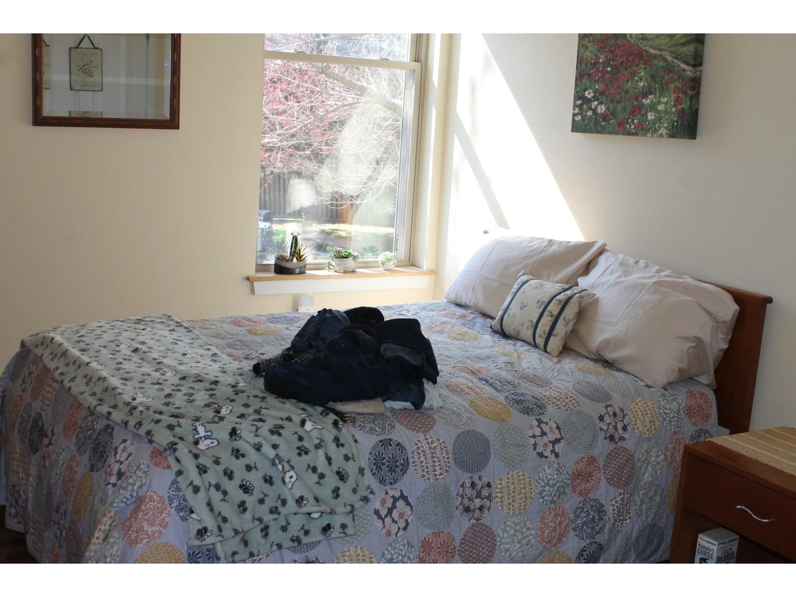 409 Farrell Street, Unit 203
