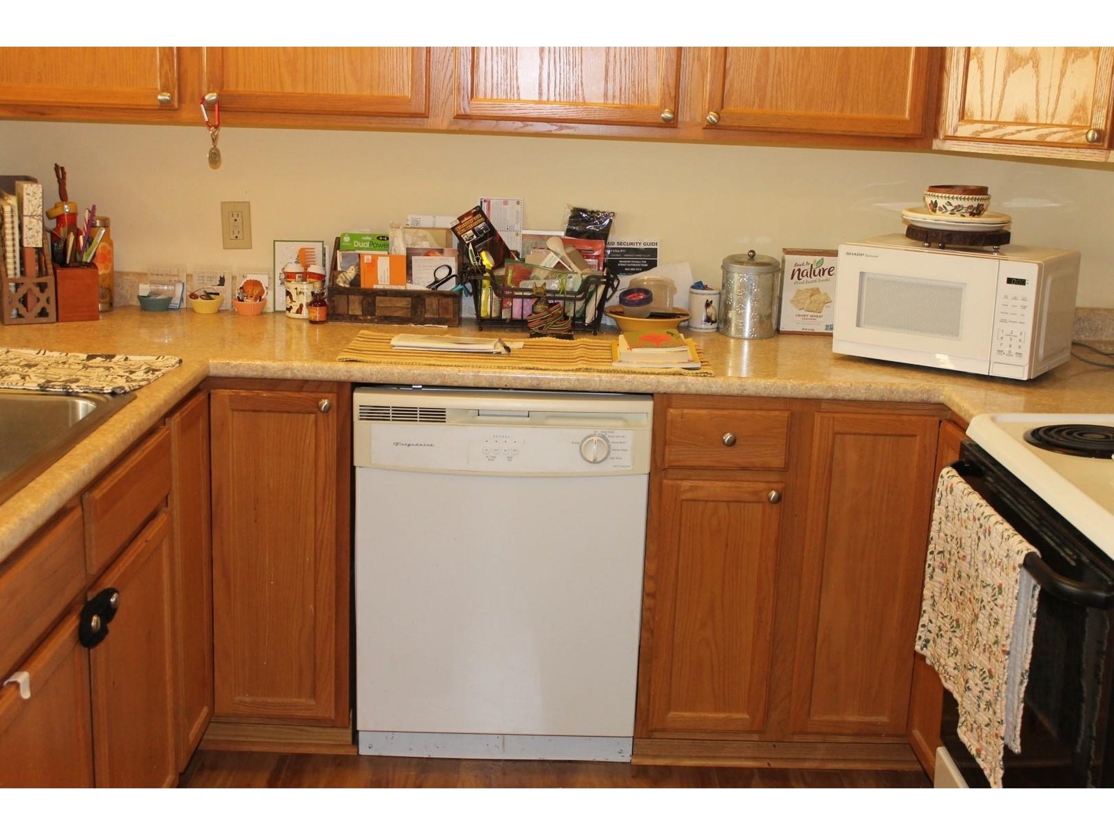 409 Farrell Street, Unit 203