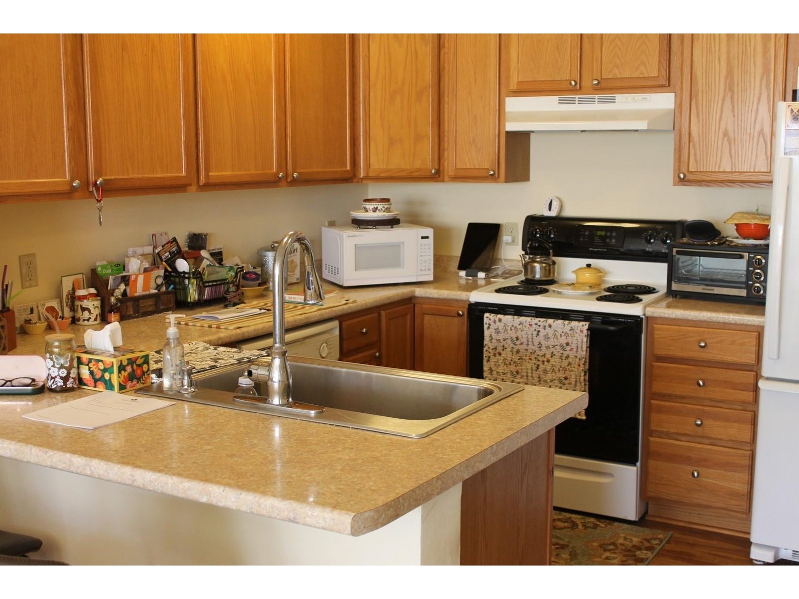 409 Farrell Street, Unit 203