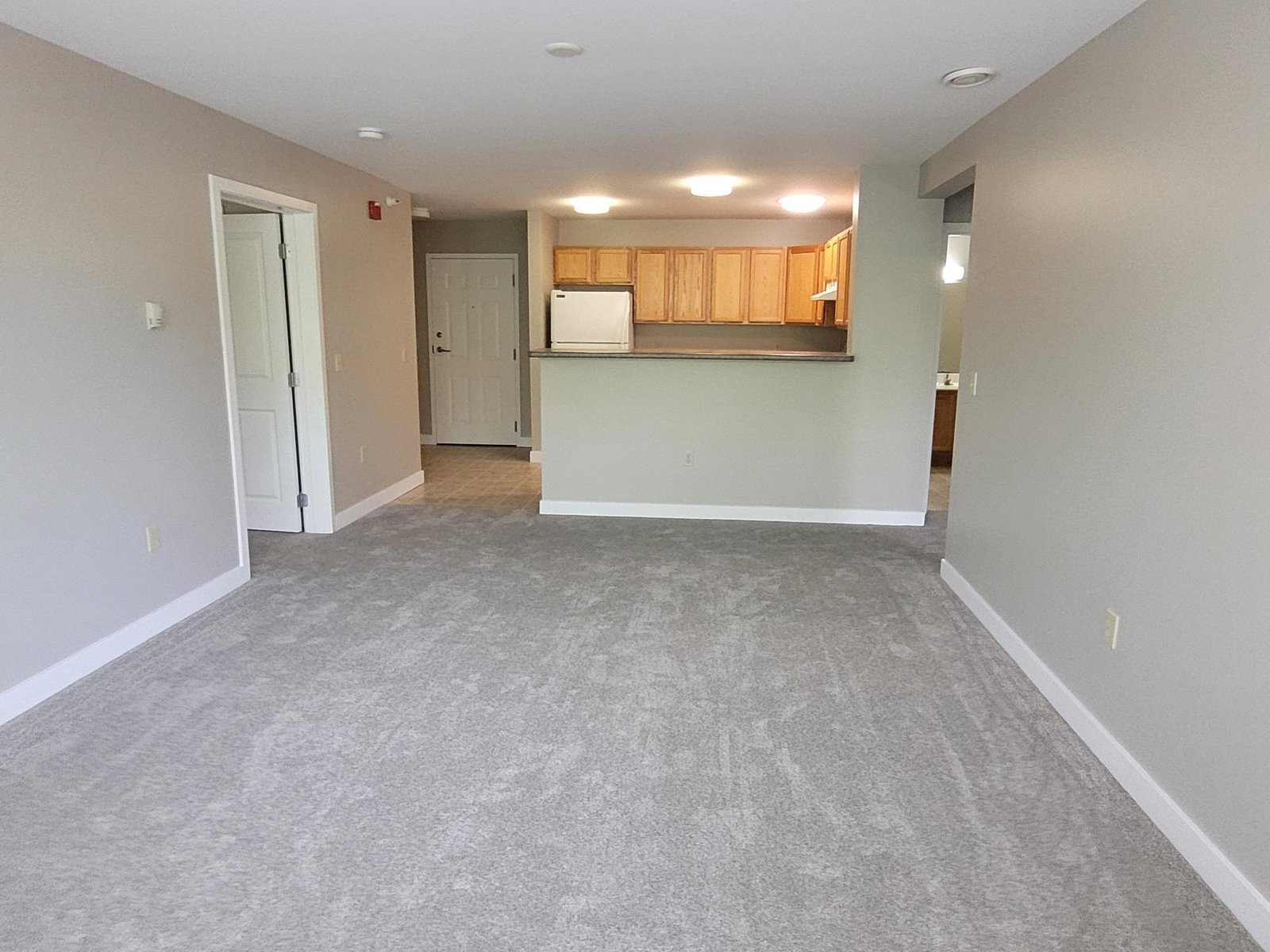 409 Farrell Street, Unit 214