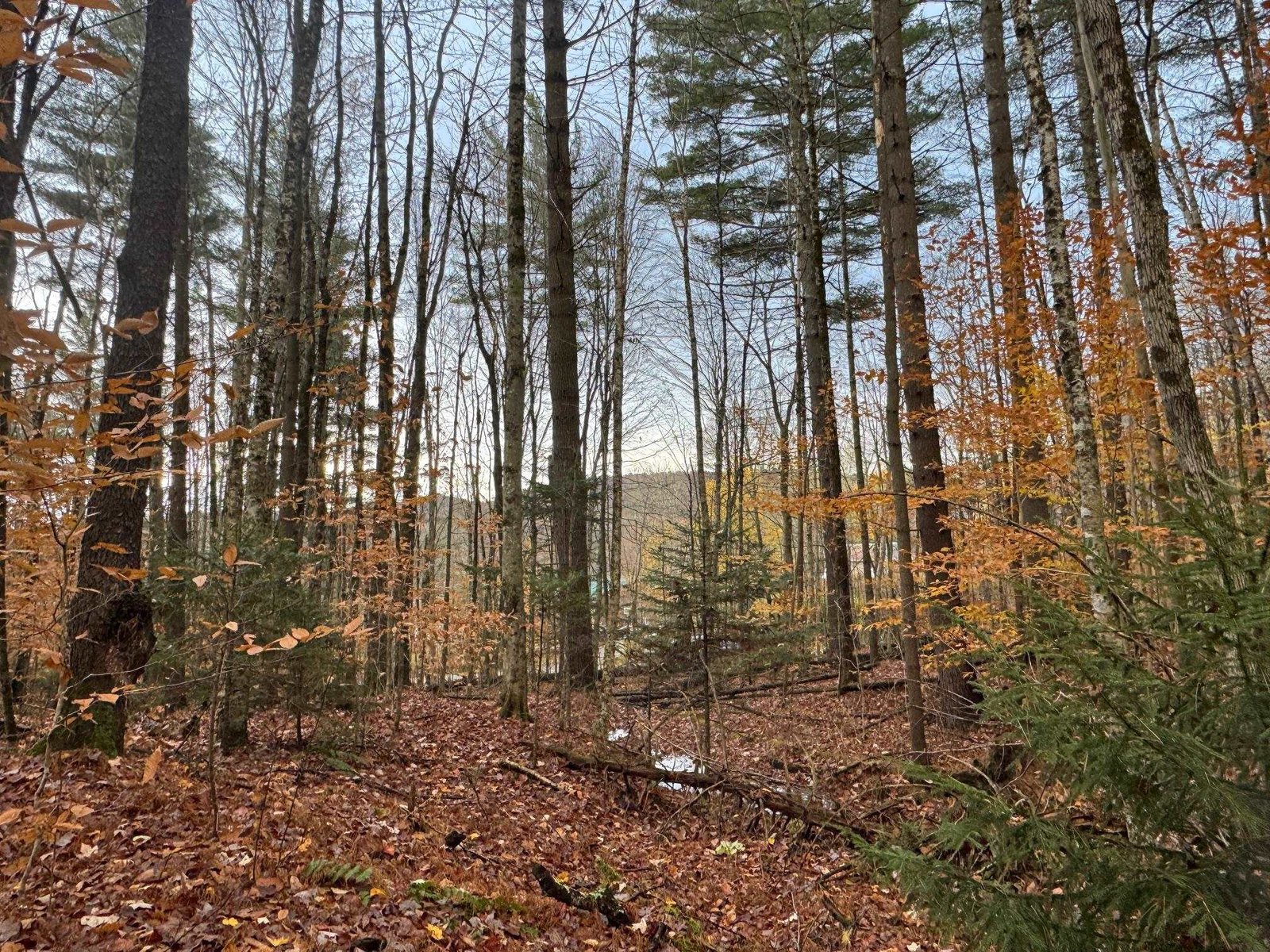 41 E Hampshire Hill Road