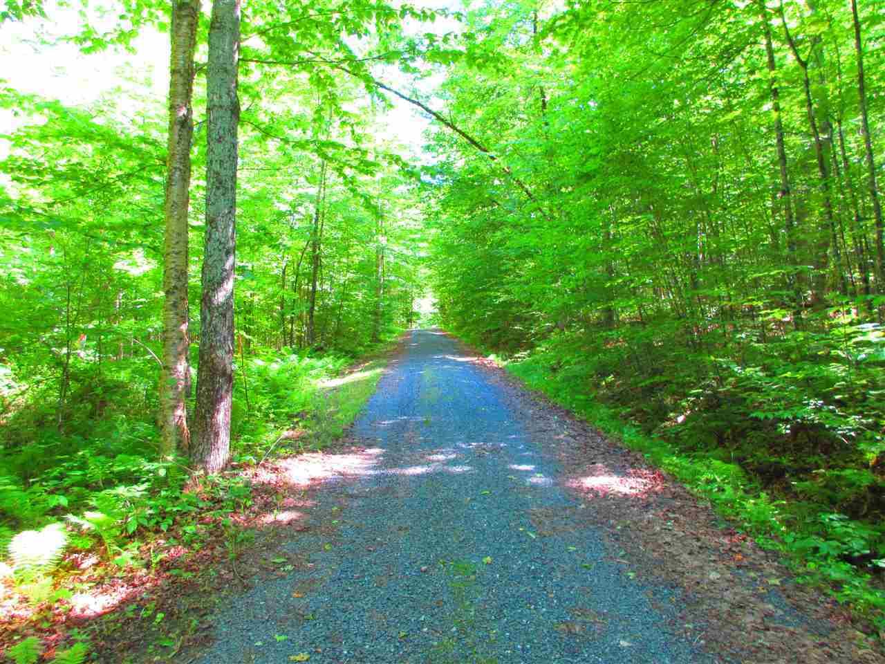 41 Saxon Hill Road