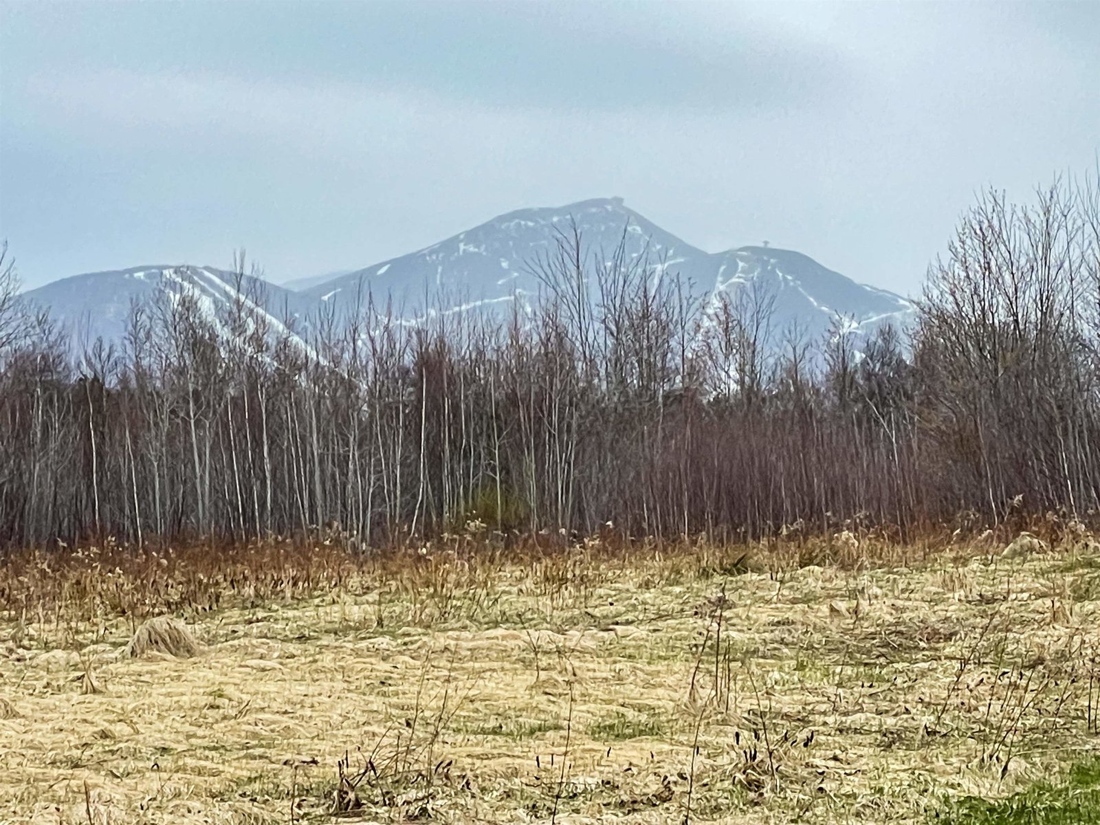 41 Mixed Use Acres for Sale 5-Miles from Jay Peak