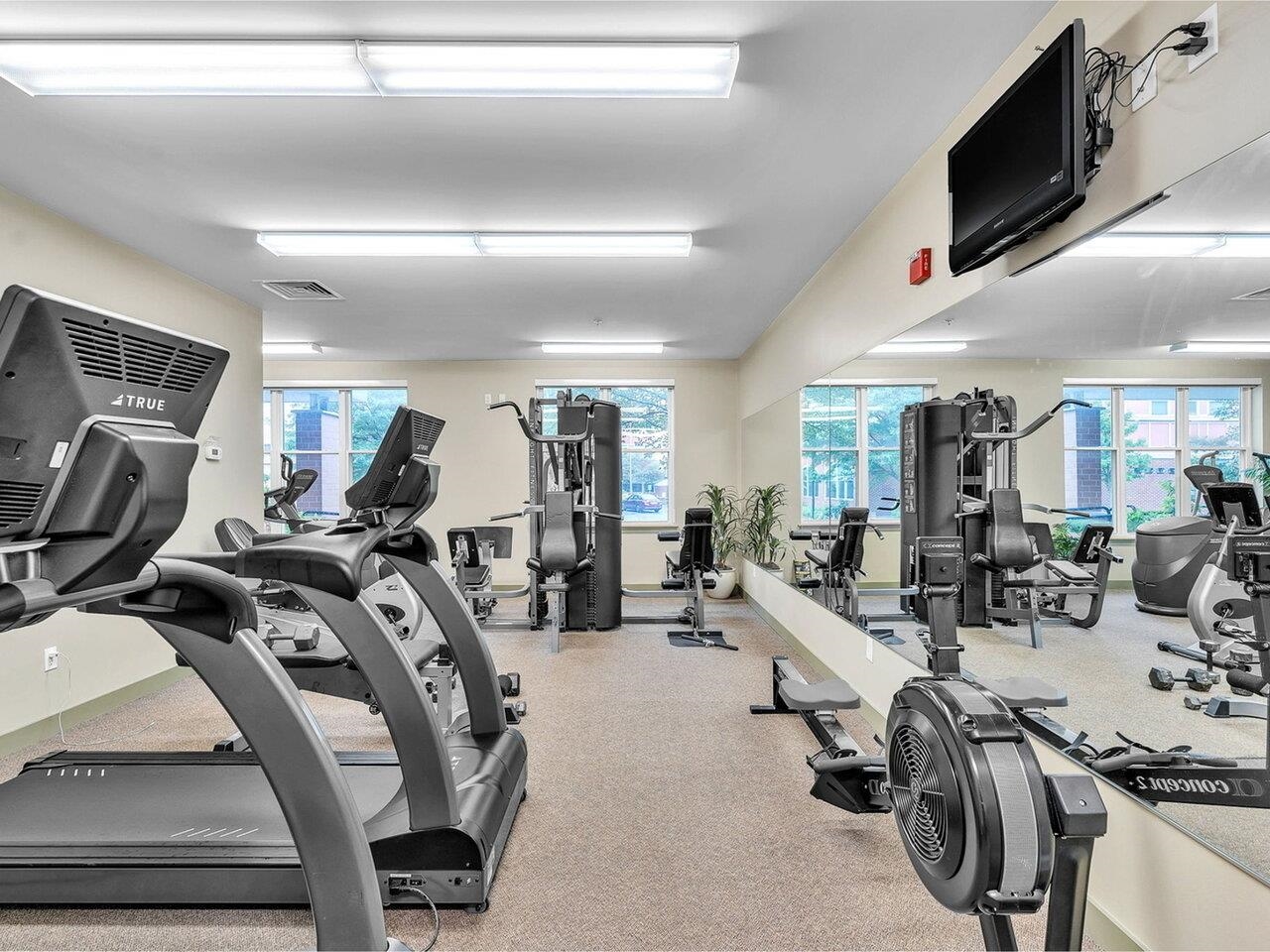 410 Farrell Street, Unit 419
