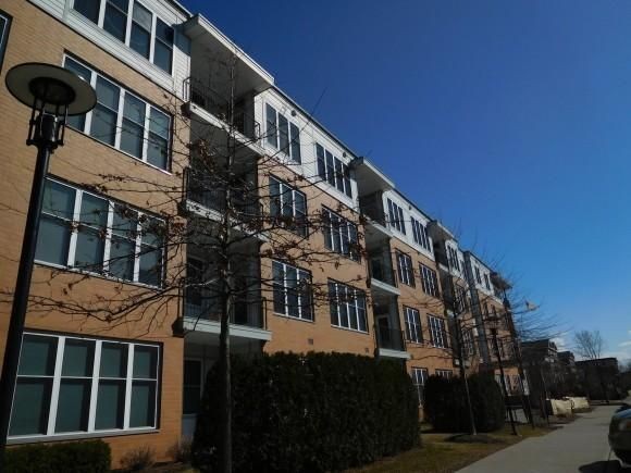 410 Farrell Street, Unit 313