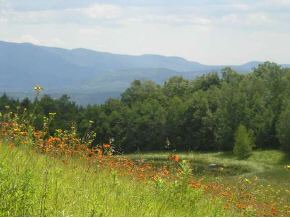 412 Thomas Pasture Ln Lot 78
