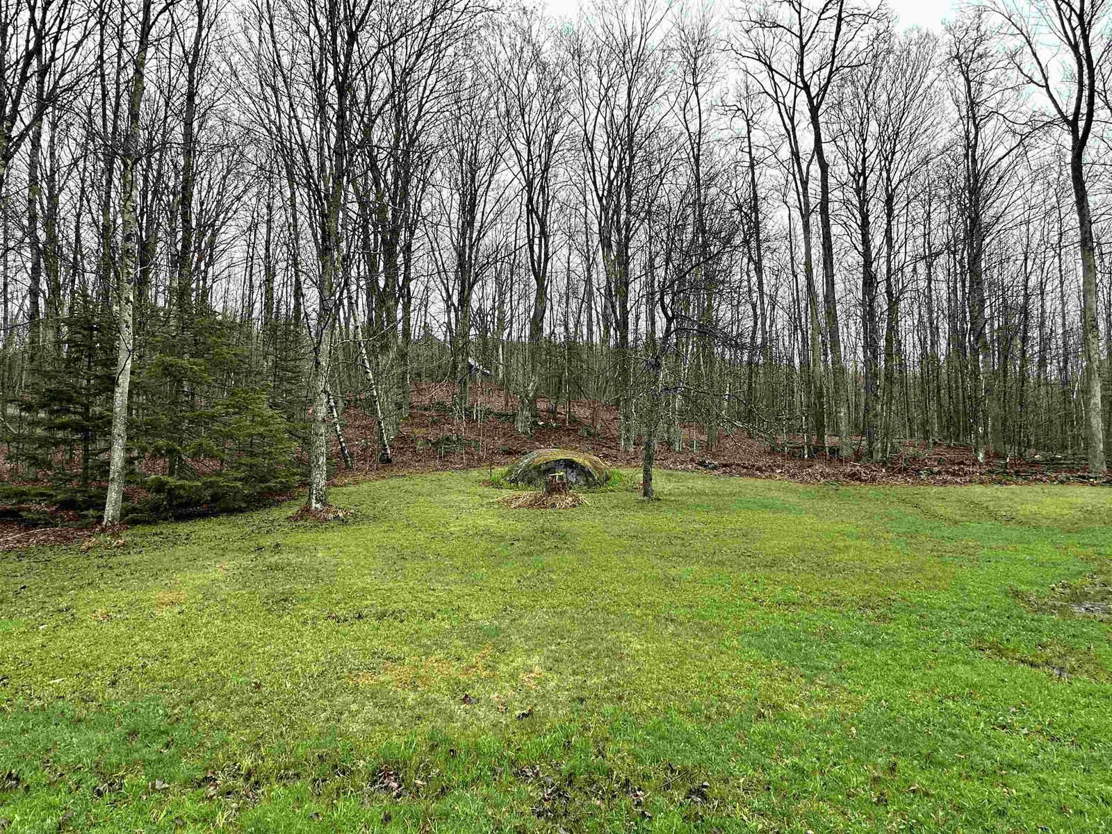 415 Buck Lake Road