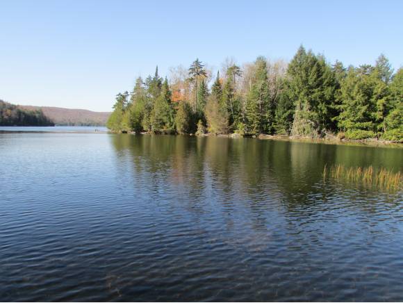 415 Loon Lake Road