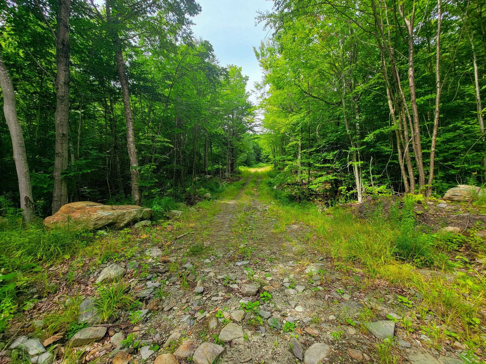 4166 Mines Road