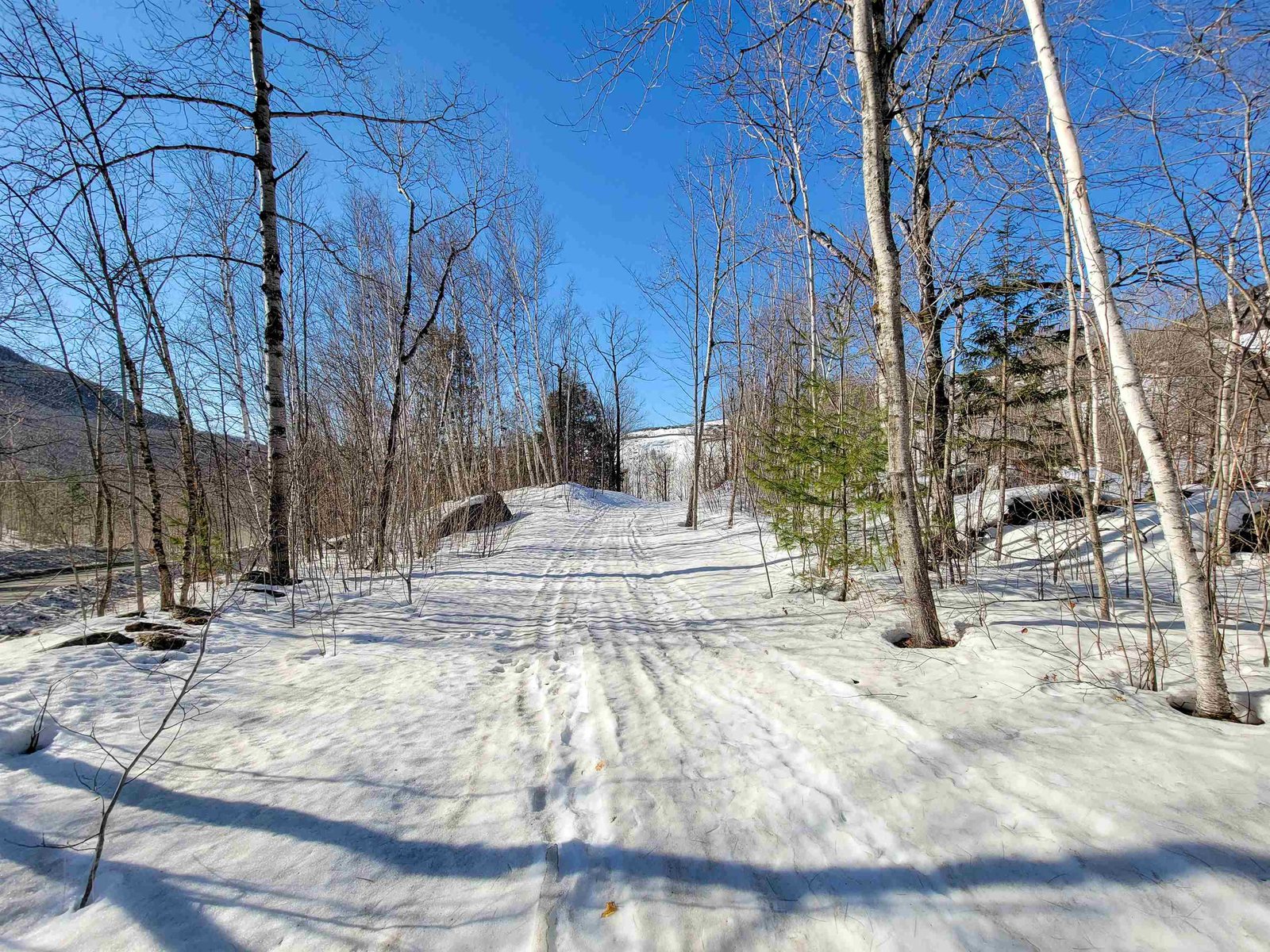 4166 Mines Road