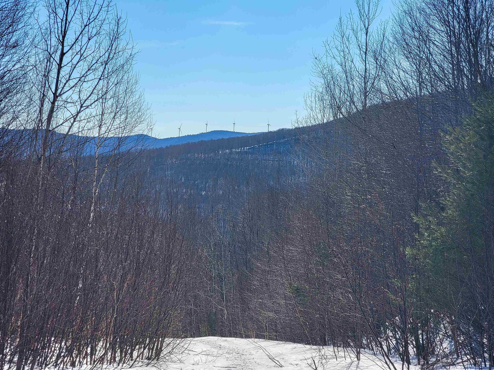 4166 Mines Road