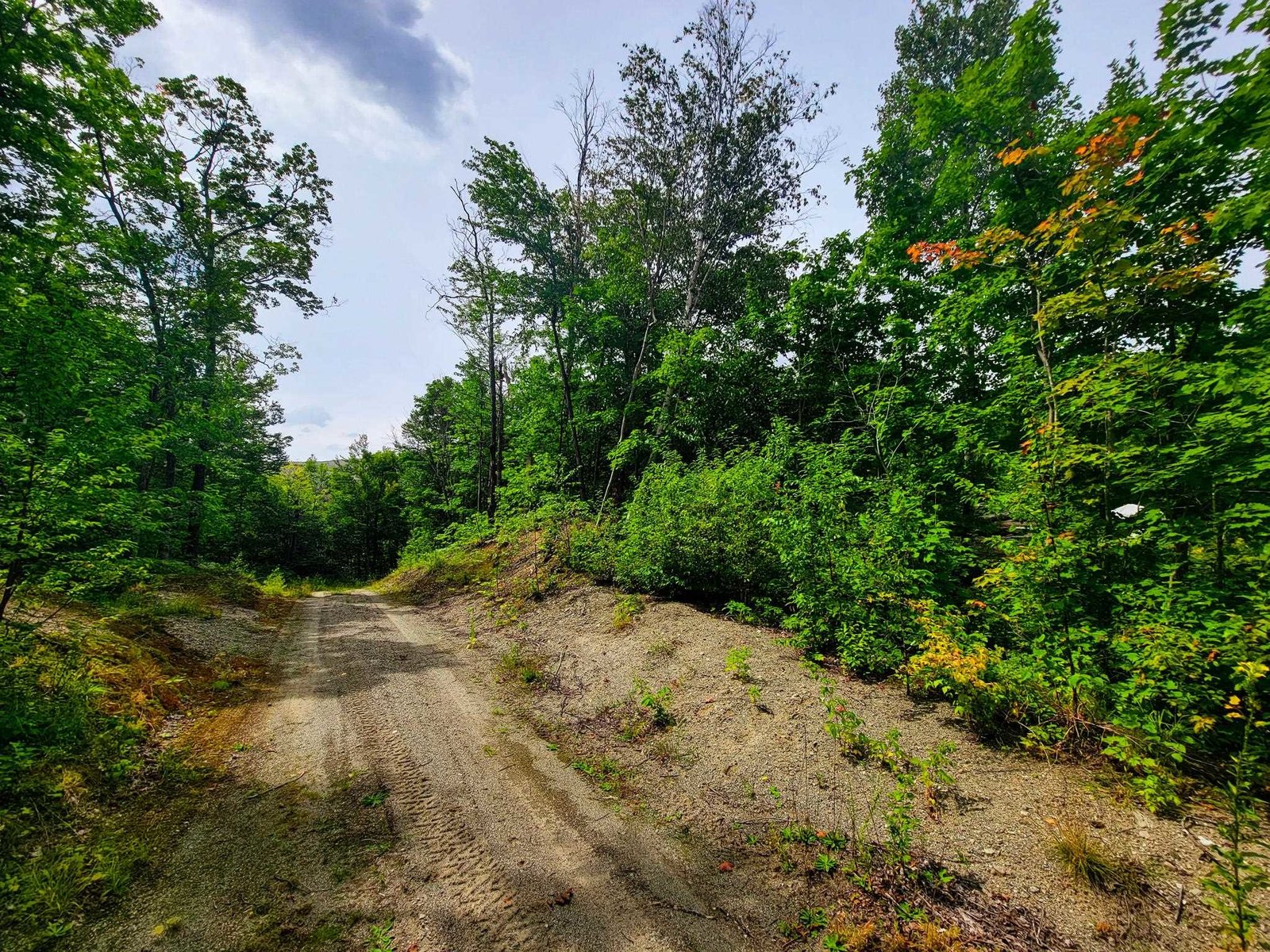 4166 Mines Road