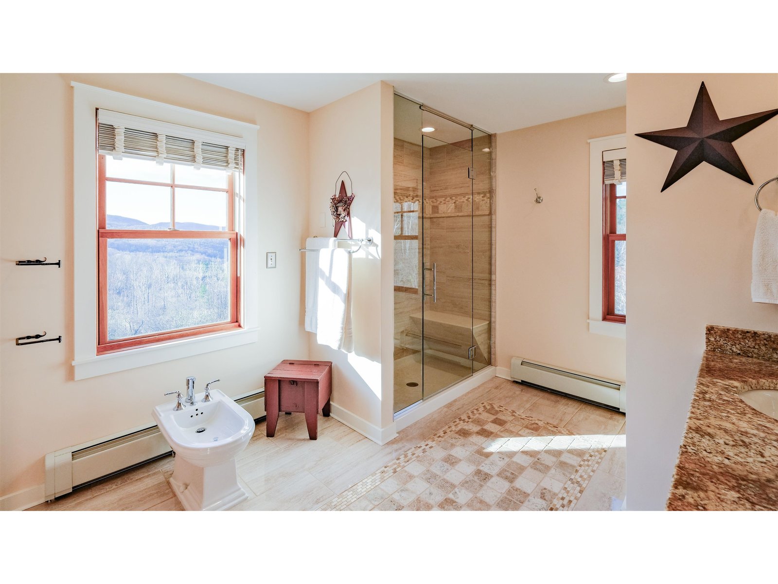 Glass shower and bidet