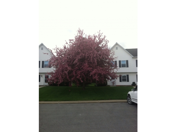 421 Westview Circle, Unit 421