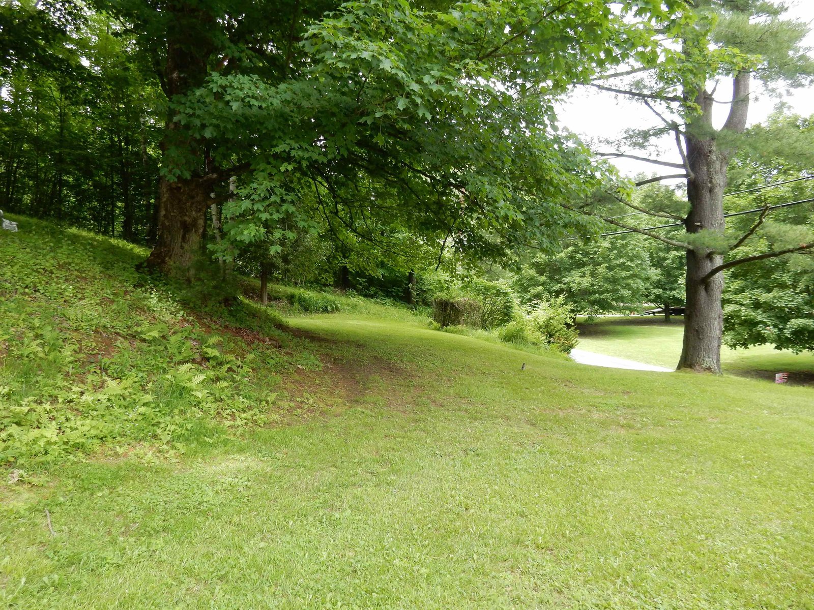 back yard