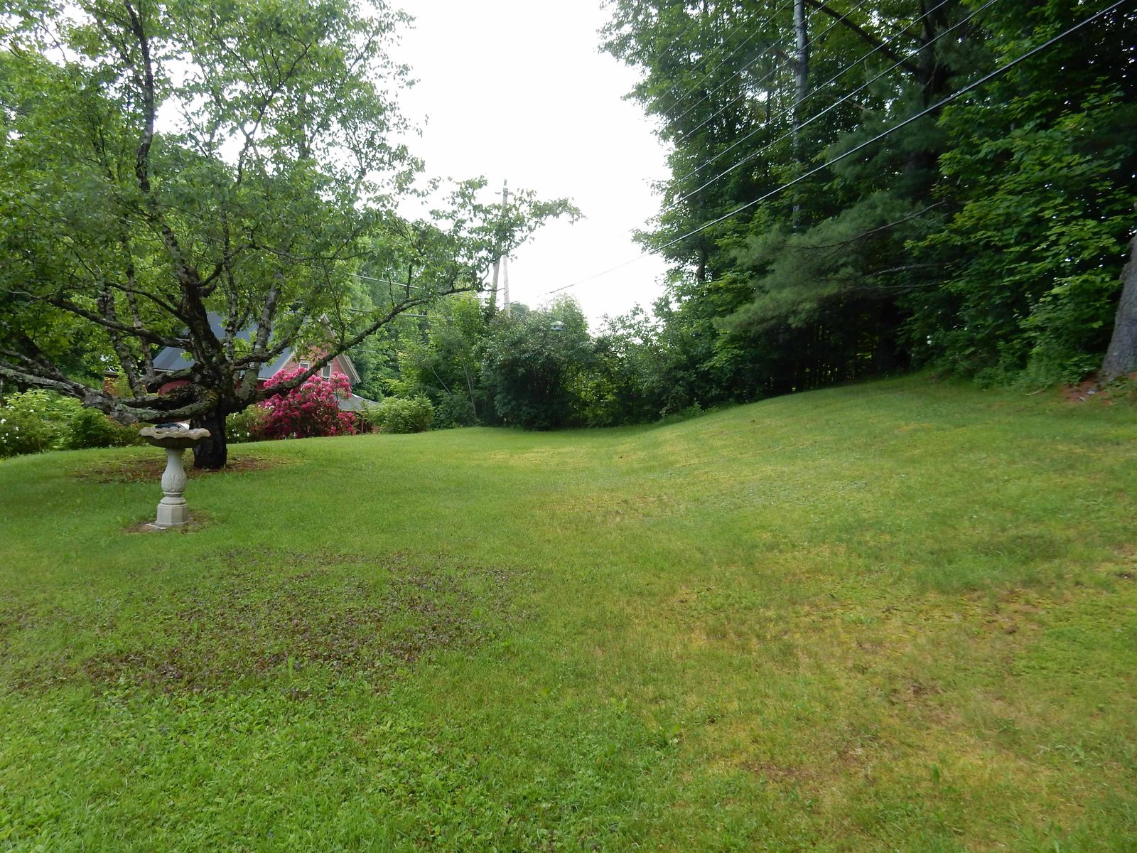 front yard