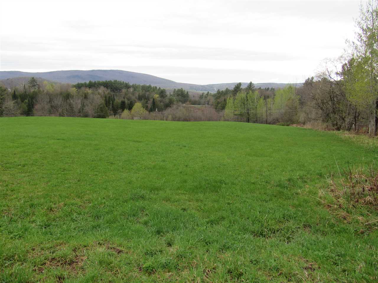 427 Creek Road