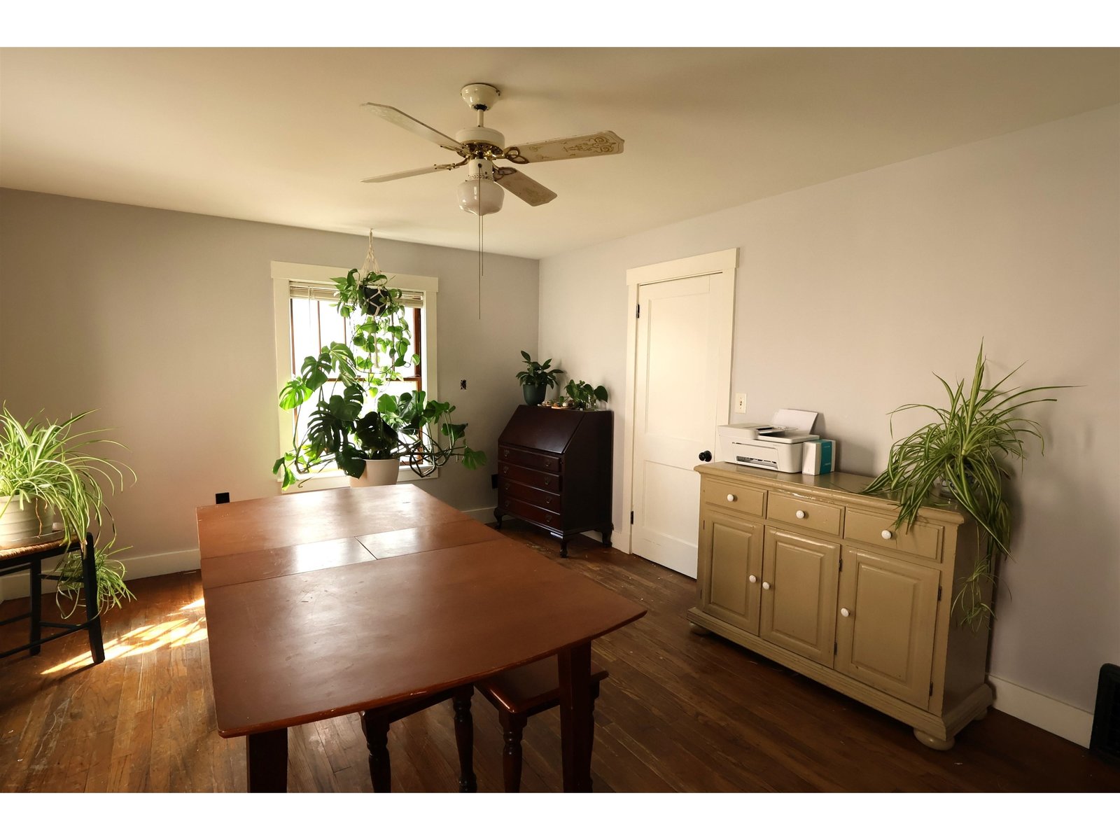427 Maple Street