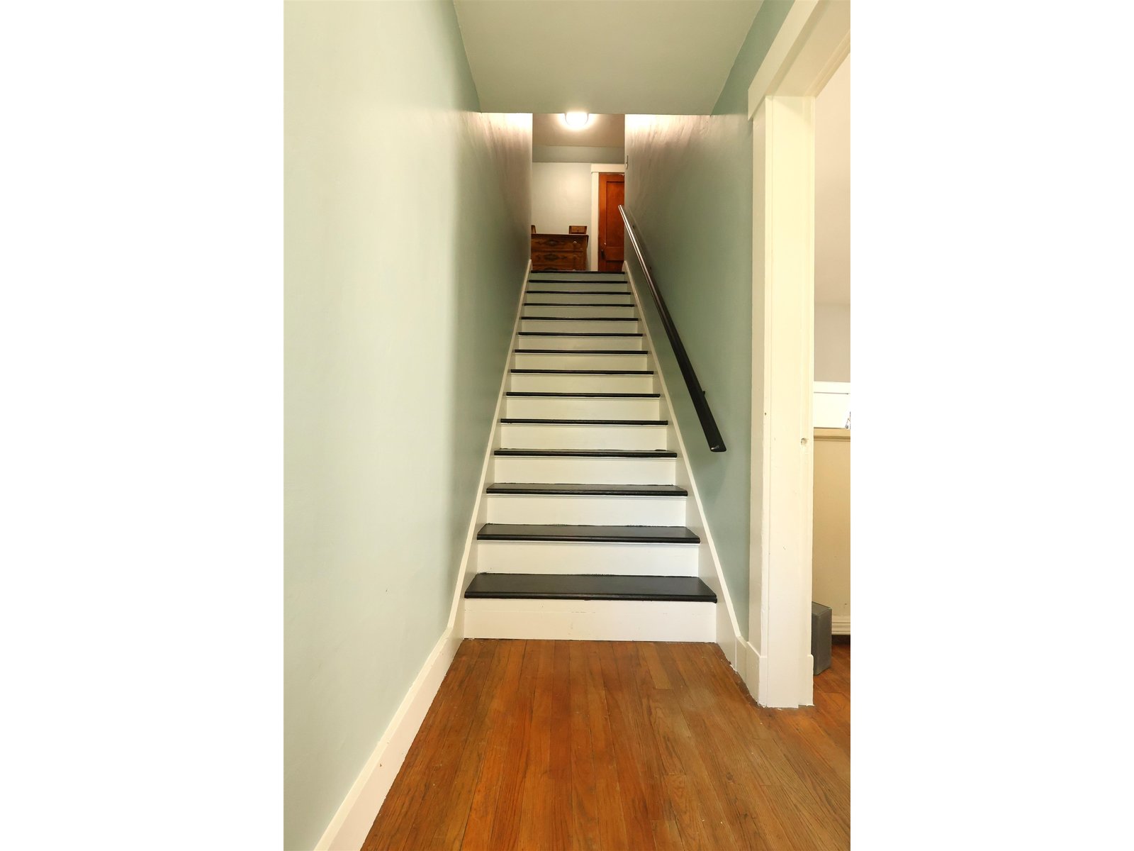 427 Maple Street