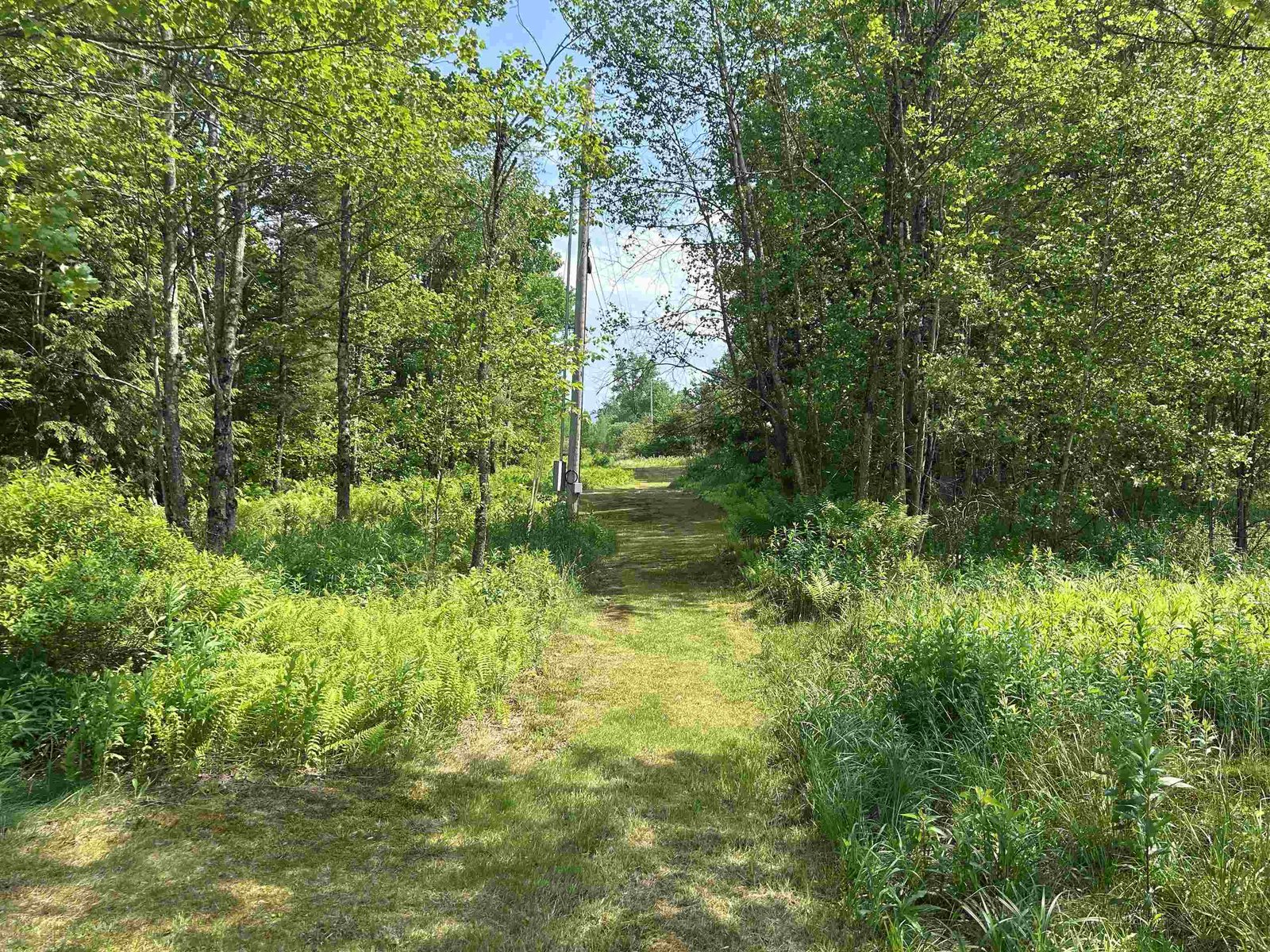 429 Polhemus Road
