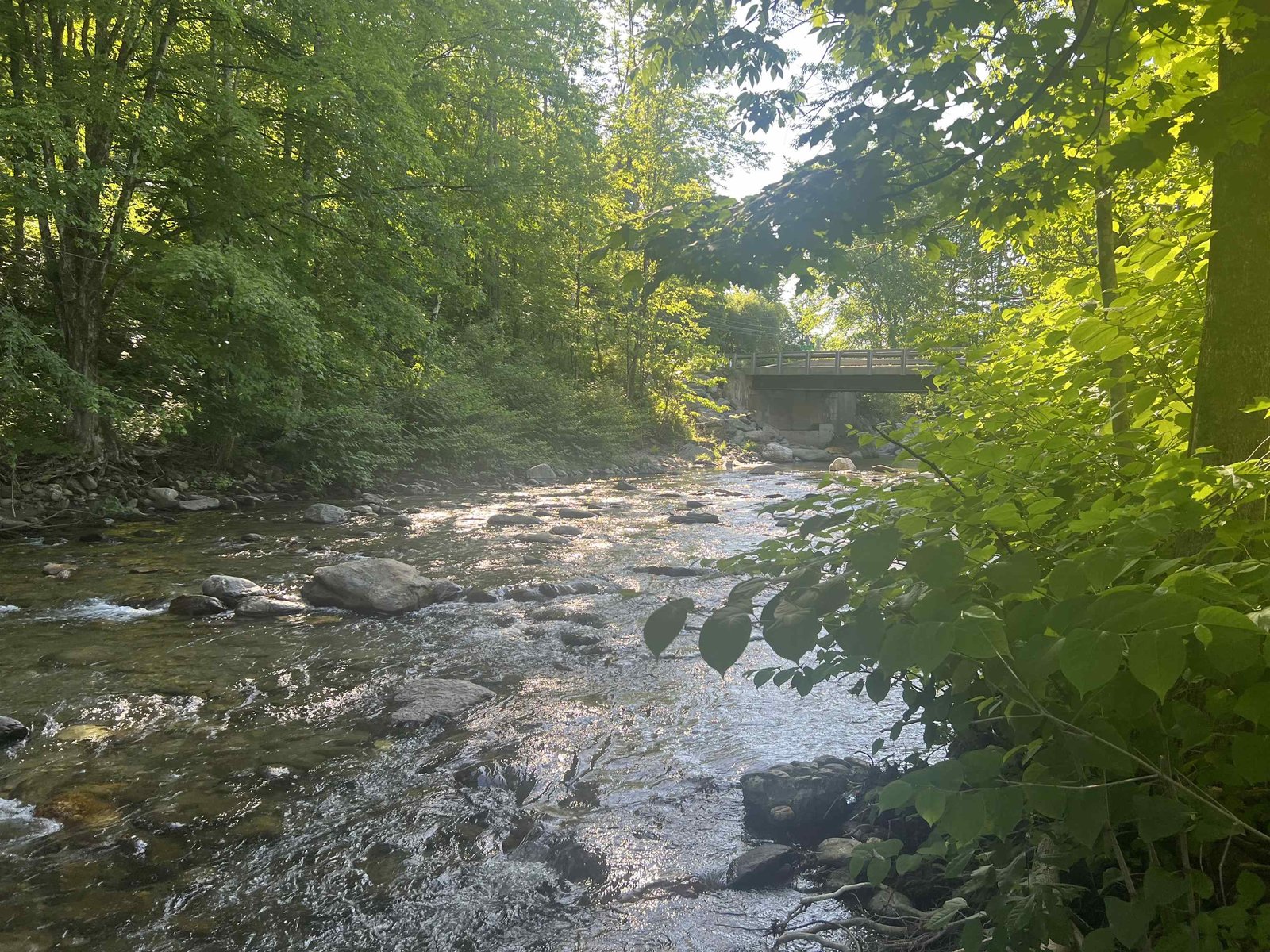 43 VT RTE 17 Route