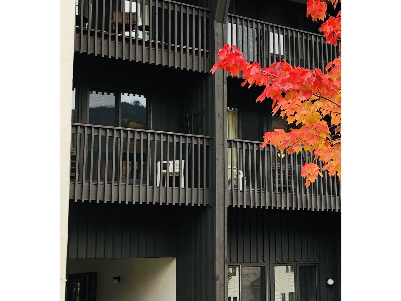 4302 Bolton Valley Road, Unit 296