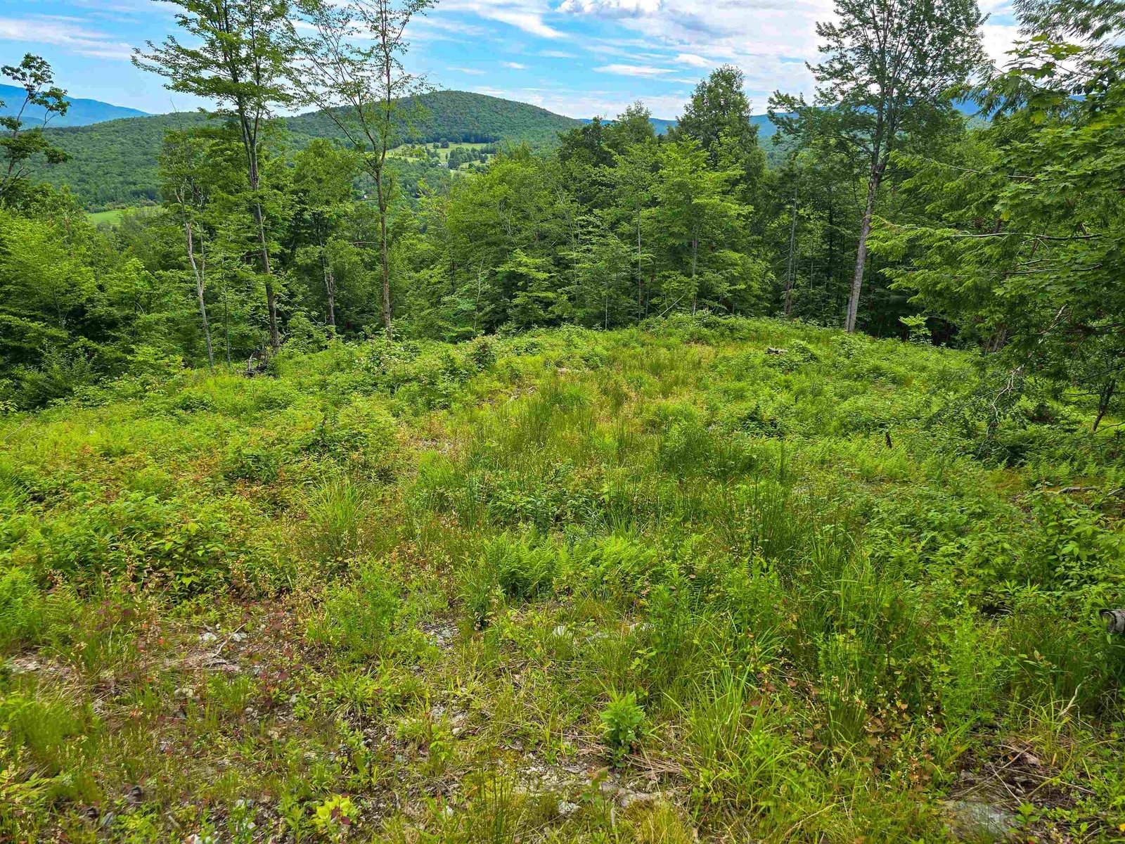 433 Wightman Hill Road