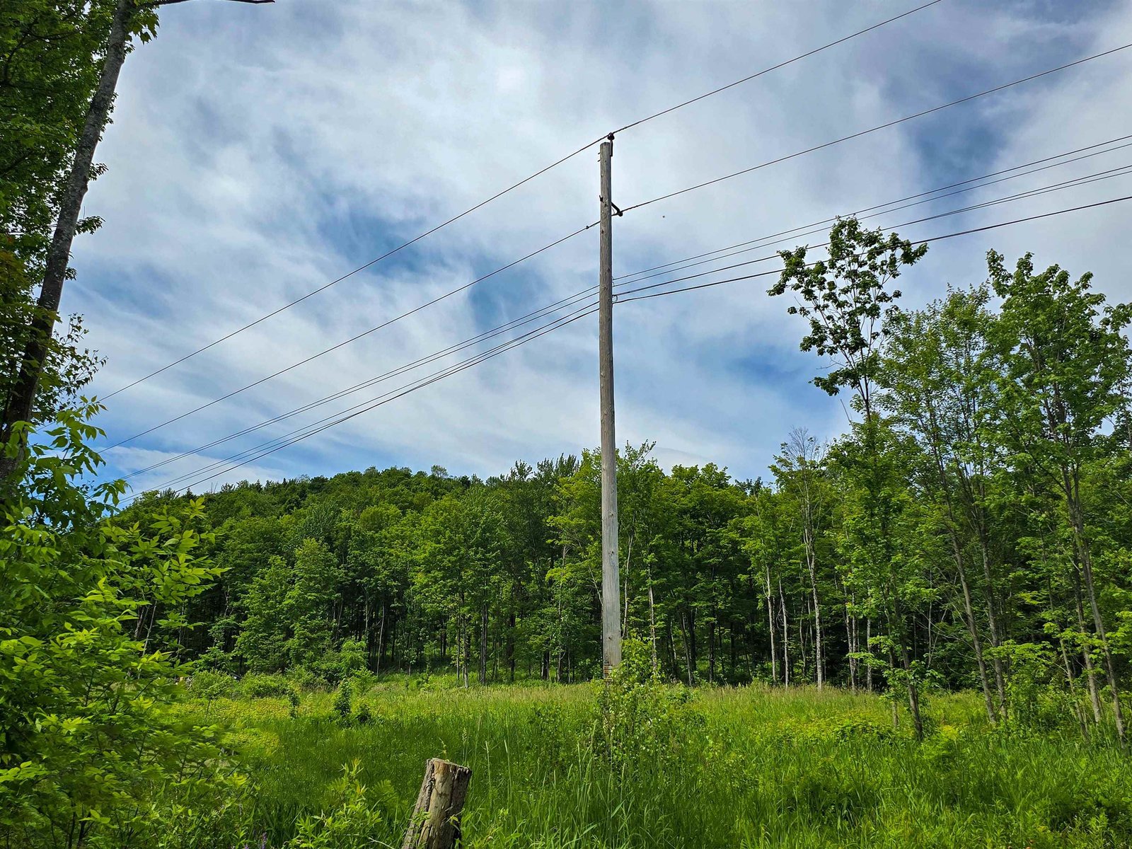 Pole on Property