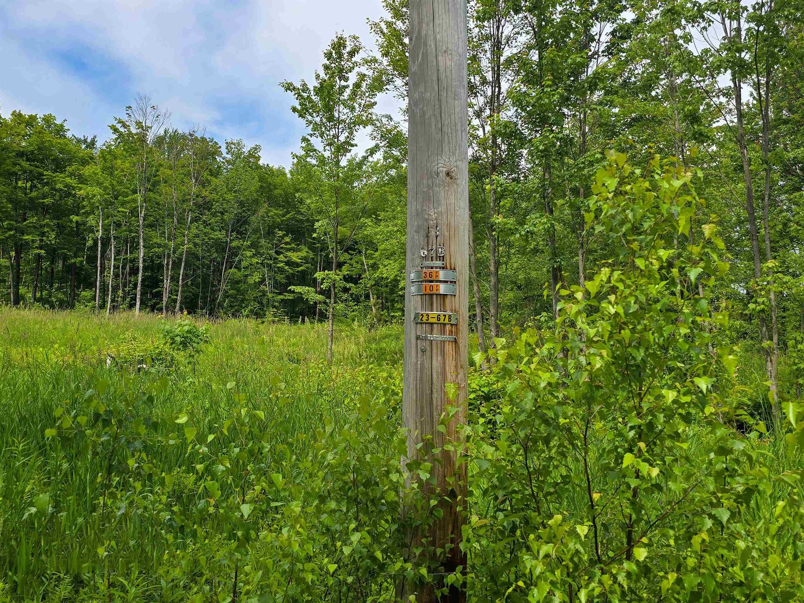 Pole on Property