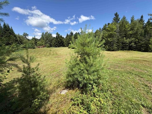 4366 VT Rt 100 N, Hyde Park